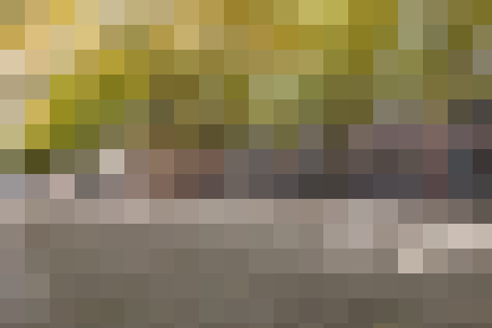  / #20