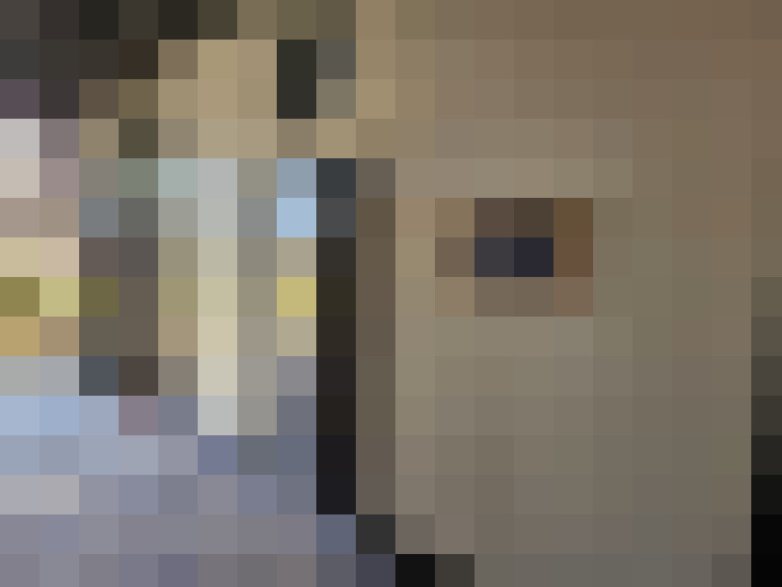  / #11