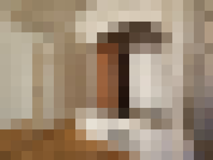 / #15