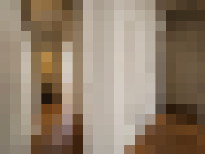 / #16
