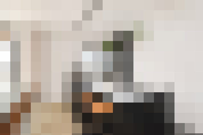  / #23