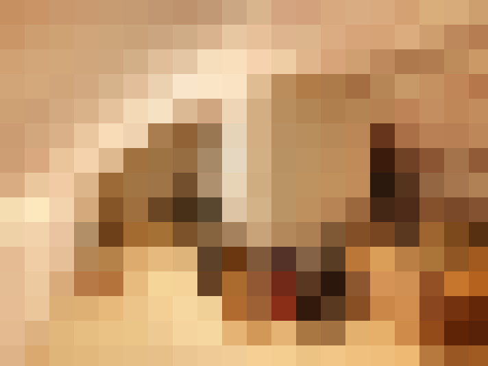  / #22