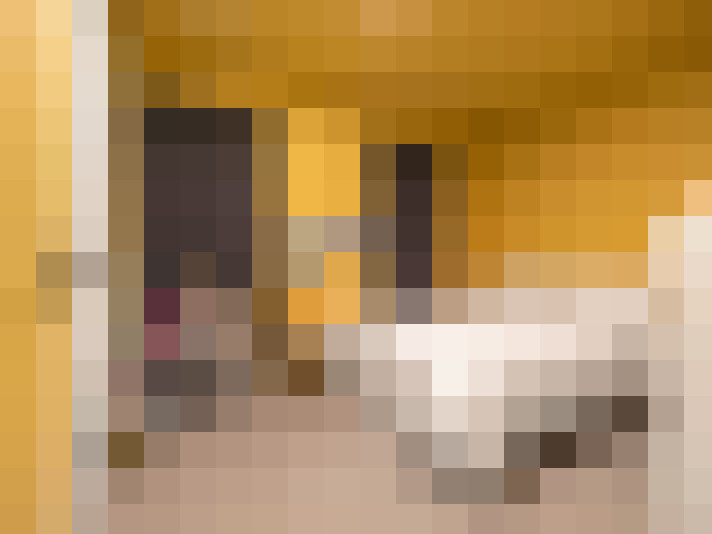  / #18
