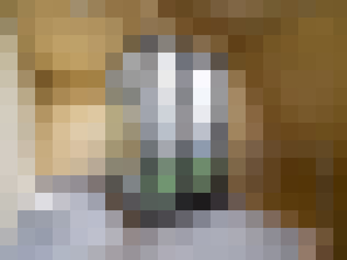  / #16