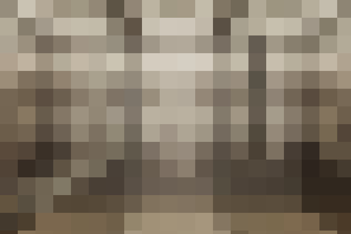  / #15