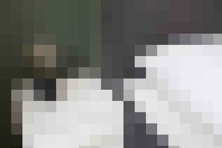  / #33