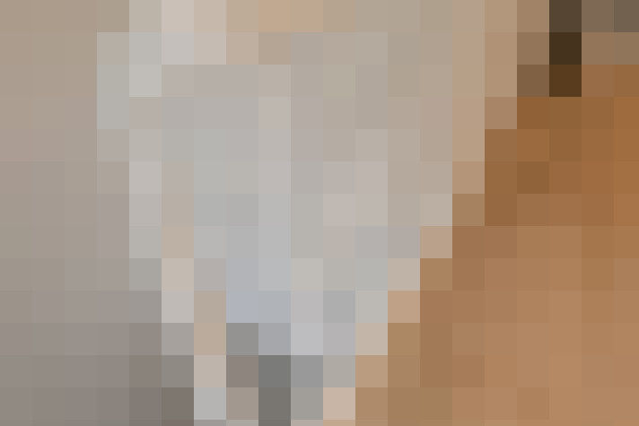  / #27