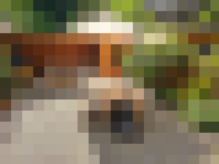  / #16