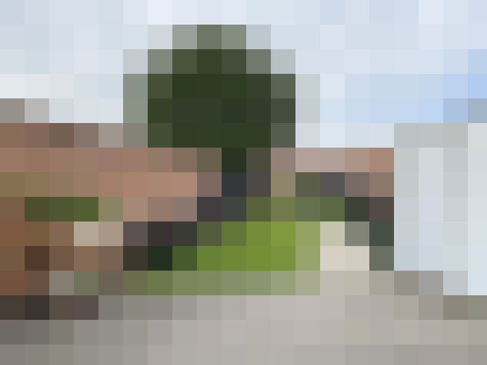  / #15