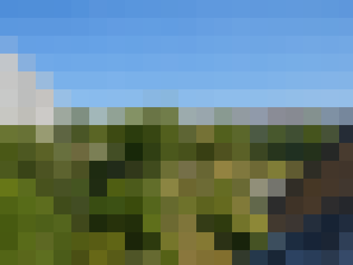  / #7