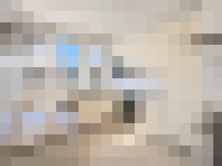  / #11
