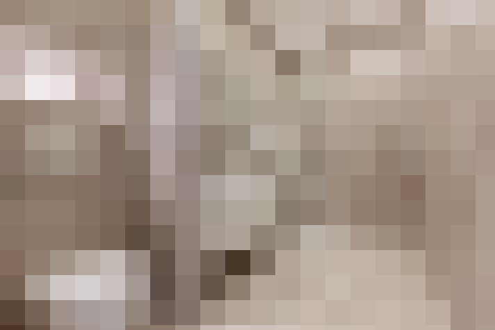  / #12