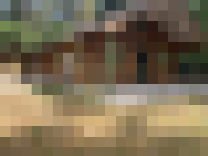  / #16