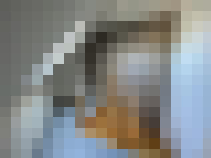  / #17