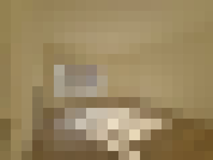  / #10