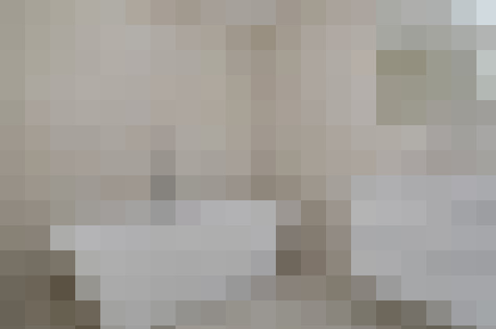  / #22