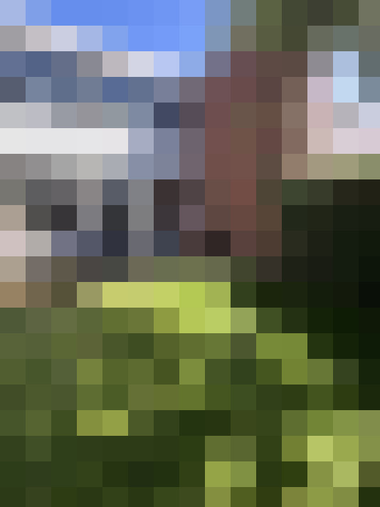  / #17