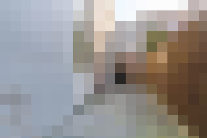  / #16