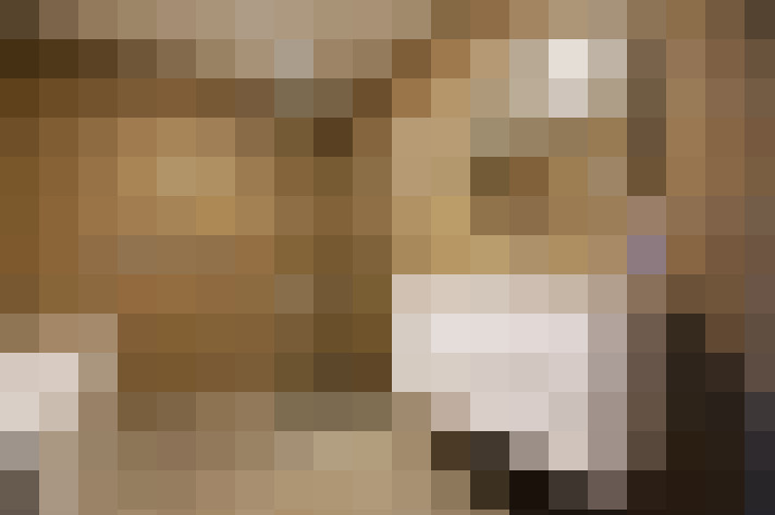  / #11