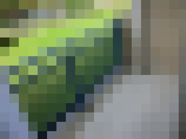  / #14