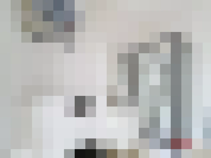  / #15