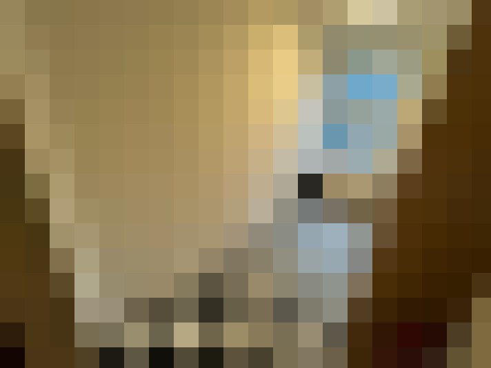  / #7