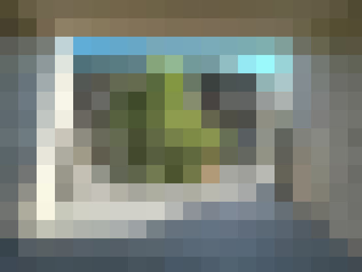  / #8