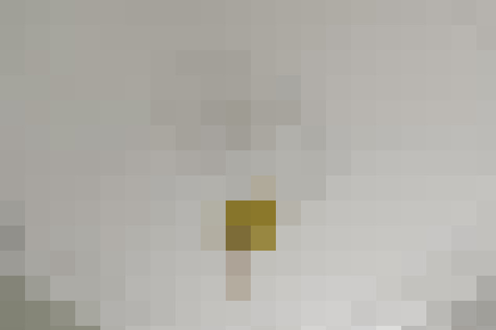  / #39