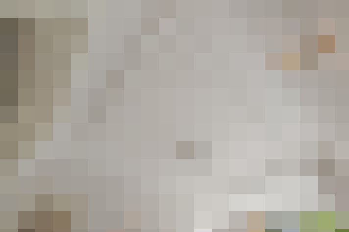  / #20