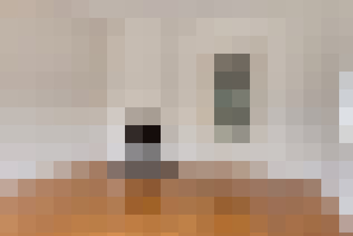  / #11