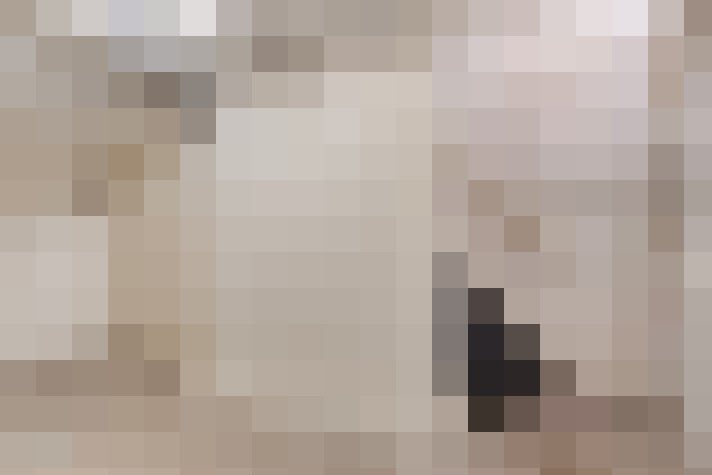  / #19