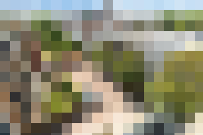  / #13