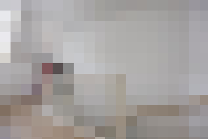  / #23