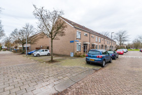 Dom — Rotterdam