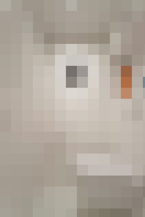 / #12