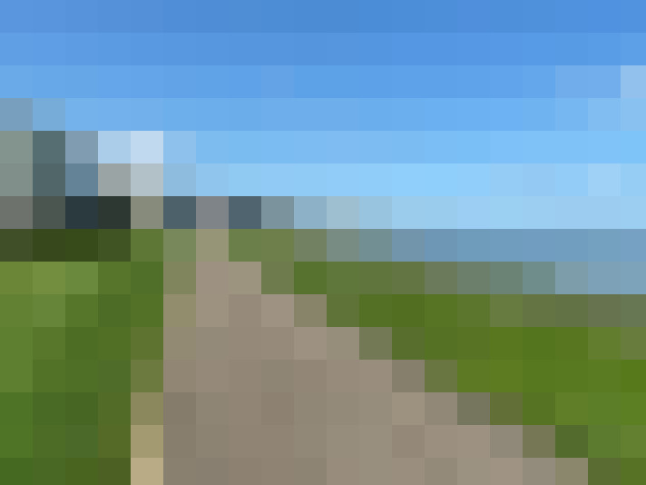  / #14