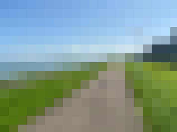  / #15