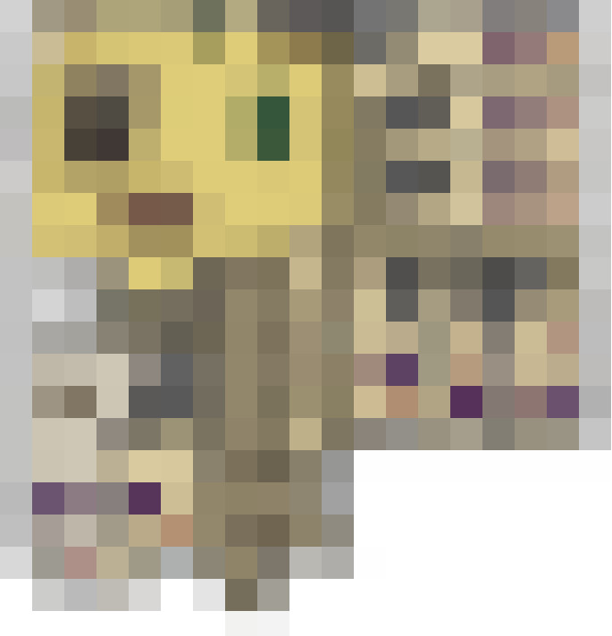  / #15