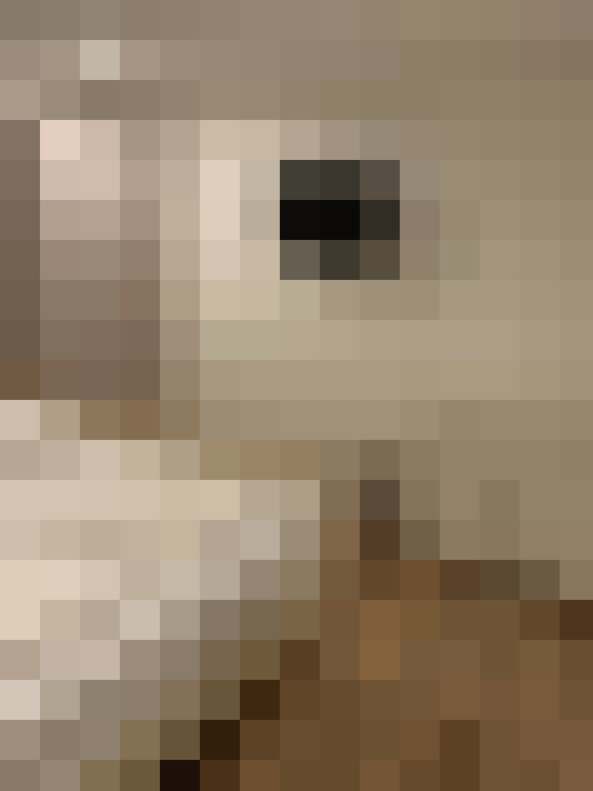  / #11