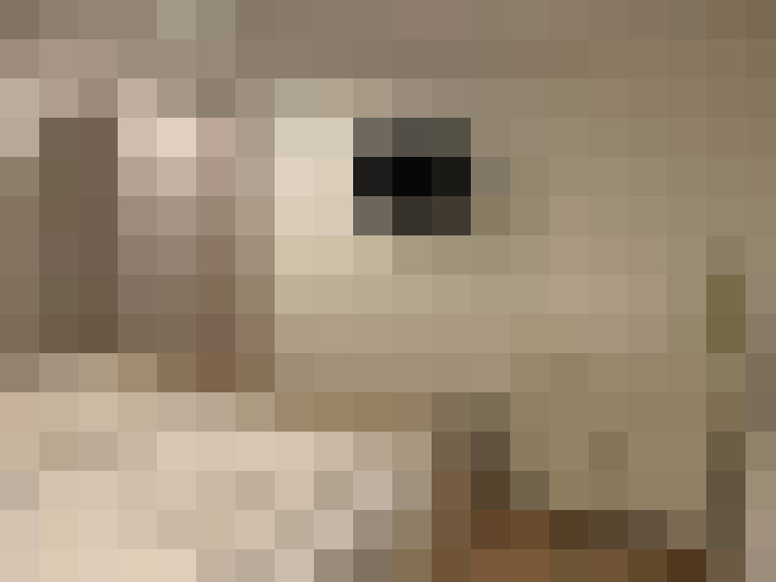  / #12