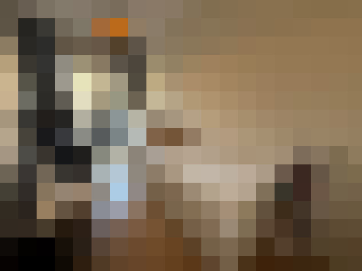  / #19
