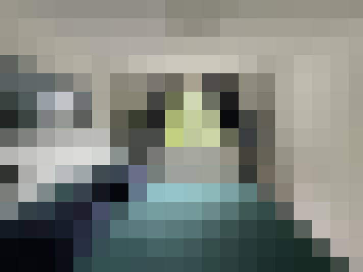  / #8