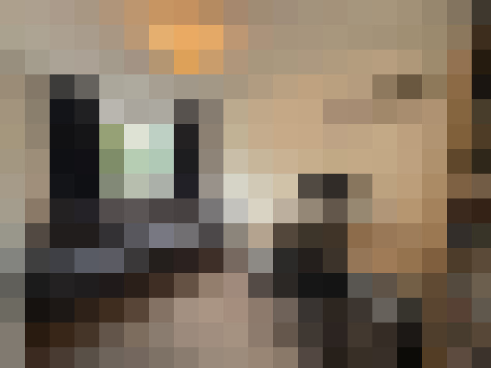  / #17