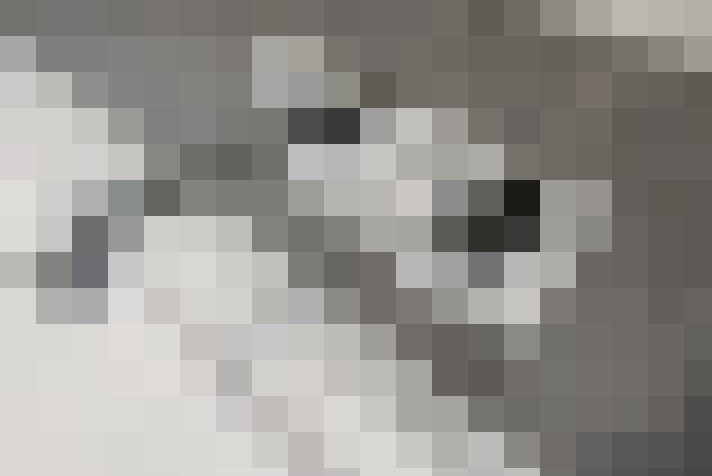  / #16