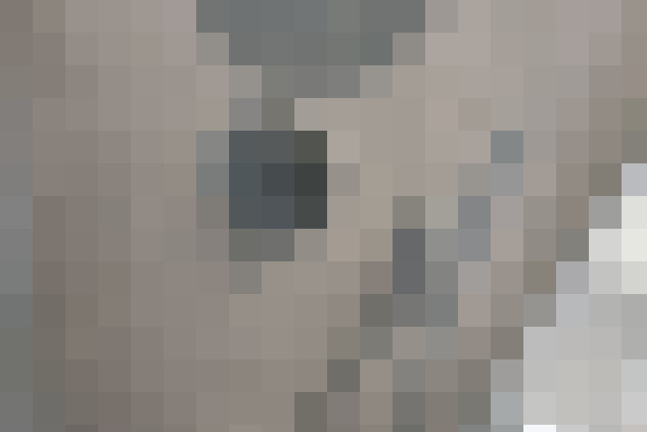  / #17