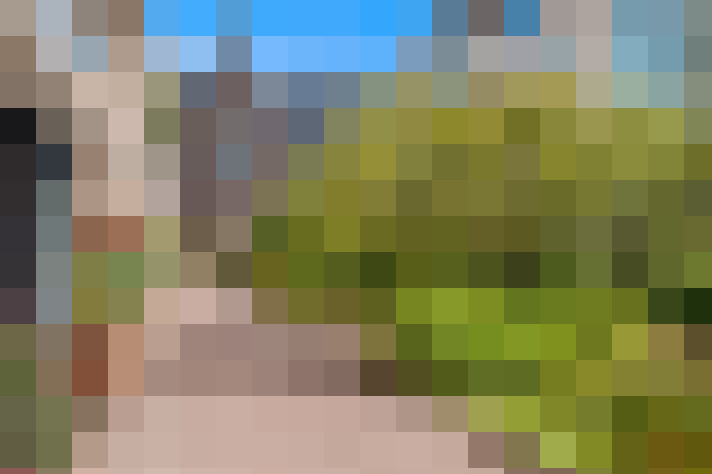  / #23