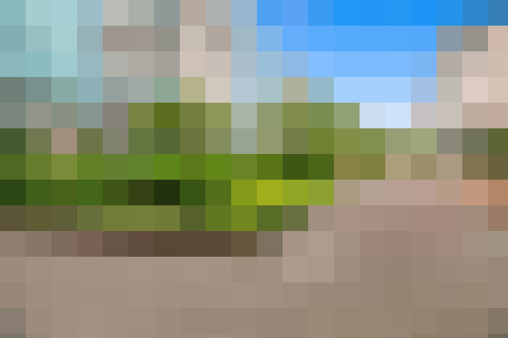  / #22
