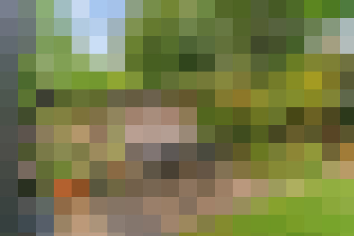 / #20