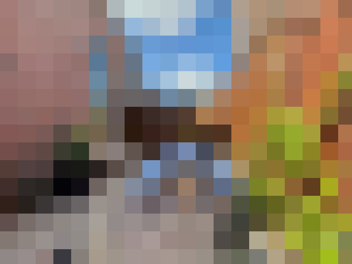 / #24
