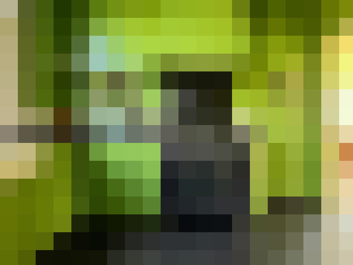  / #15